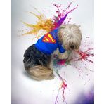 Kemique Superman Köpek Tişört Köpek Kıyafeti Dual Duo M