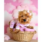 Kemique Teddy Toad Penye Köpek Tulum Pijama