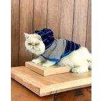 Kemique Turuncu Blue Line Sweatshirt Kapşonlu Kedi Kıyafeti