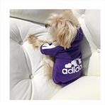 Kemique Xl Mor Sporty Duo Adidog Köpek Sweatshirt