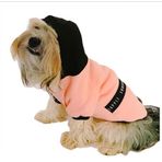 Kemique XL Pembe London Pine Apple Kapşonlu Sweat By Kemique Köpek Kazağı