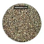Kendir - Kuş Yemi 2 Kg