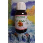 Kenevir Tohumu Yağı 50 ML Saf
