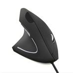 KENLY Dikey Ergonomik Kablosuz Mouse