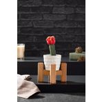Kenpool Mini Saksı Ayağı Saksı Standı 13x9 cm Ahşap Saksılık Kaktüs Sukulent Saksılığı