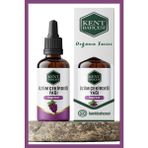 Kent Bahçesi Üzüm Çekirdeği Yağı 30 ml Saf Doğal ve Katkısız Soğuk Sıkım Cold Press grape Seed Oil