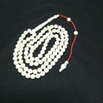 KENZİDAR Deve Kemiği 99’luk Tesbih 7,5x7,5 Mm. - Beyaz