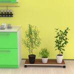 Kenzlife saksı altlığı kazım cvz 010*090*30 tüp saksılık