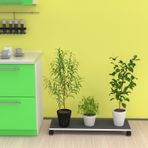Kenzlife saksı altlığı kazım gri 010*090*30 tüp saksılık
