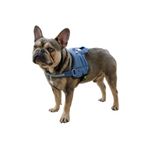 Kerbl Belden Köpek Tasması Maestro 2.0 S 45-60 cm x 15 mm