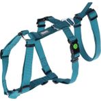 Kerbl Kaçış Önleyici Köpek Tasması Petrol Yeşili 72 cm - 103 Cm, L
