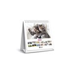Keskin Color 820802-99 2024 Kediler Kare Masa Takvimi