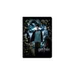 Keskin Color Harry Potter 16,5*22,5 80 Yp Çizgili Spr.karton Kapak Defter 380631-07