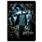Keskin Color Harry Potter A4 60 Yp Kareli Defter