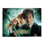 Keskin Color Harry Potter Çıtçıtlı Dosya - 1 Adet