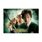 Keskin Color Harry Potter Çıtçıtlı Dosya A4 - 2 Adet Lisanslı Orjinal - 1 Çift