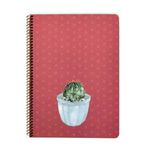 Keskin Color Saguaro Spiralli Kaktüs Sert Kapak 100 Yaprak 20x28 Çizgili Defter
