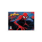 Keskin Spiderman 25x35 15 Yaprak Resim Defteri