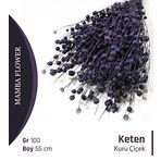 Keten Kuru Çiçek 55 Cm