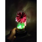 Kibele Sanat Dekoratif Ledli Bordo-Pembe-Toz Pembe Renk Papatya Bahçesi Teraryum Fanus, Fanus, Işıklı , Sevgililer Günü - Bordo - Pembe