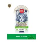 Kidney Health - Desteği Tavuk & Sebze Kedi Krema Ödül Maması 5X14 Gr