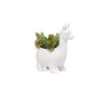 Kikkerland Vazo Lama
