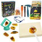 Kikuo Amber Değerli Taş Kazma Seti, Çocuklar İçin Böcek Kazma Seti Seti, 6 Gerçek Hayat Taşları ve Kehribar, Gözlüklü ve Vitrinli Eğitici Oyuncaklar Fosiller Bilim Kiti 6+ Yaş Erkek ve Kız Çocukları