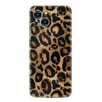 Kılıfland Samsung Galaxy S23 Pro Max ile Uyumlu Leopar Desenli Boutique Kılıf, Siyah-Altın
