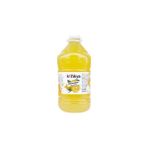 Kilikya Limonata 5 lt x 4'lü