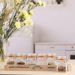 Kilner Klipsli Baharat Kavanozu Seti - Şeffaf