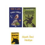 Kınalı Serçe + Dünyanın Merkezine Yolculuk + Siyah İnci Hediye