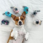 Kind'Ice paw Köpek kakası çanta tutucu Süper sevimli tasarım (La vie en rose)