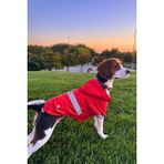 Kiremit Köpek Yağmurluğu, Reflektörlü Su Geçirmez Yağmurluk, Köpek Kıyafeti Köpek Yağmurluk - Kiremit Rengi
