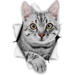 Kırık Cam Efekti Kedi Araba Oto Sticker Etiket Z1