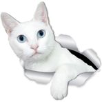 Kırık Cam Efekti Kedi Araba Oto Sticker Etiket Z4