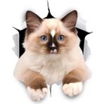 Kırık Cam Efekti Kedi Araba Oto Sticker Etiket Z8