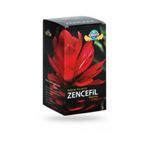 Kırıntı Baharat Zencefilli 420 gr Macun