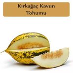 Kırkağaç Kavun 10 Gr 1 Adet