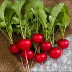Kırmızı Fındık Turp Tohumu 100+ Tohum N11.8283