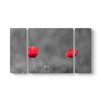 Kırmızı Gelincik Tablosu 126 x 70-3 Parçalı