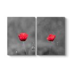 Kırmızı Gelincik Tablosu 63 x 40-2 Parçalı