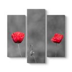 Kırmızı Gelincik Tablosu 96 x 90-3 Parçalı