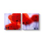 Kırmızı Gelincikler Tablosu 103 x 50-2 Parçalı