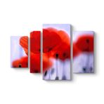 Kırmızı Gelincikler Tablosu 119 x 80-4 Parçalı