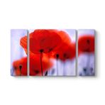 Kırmızı Gelincikler Tablosu 126 x 70-3 Parçalı