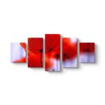 Kırmızı Gelincikler Tablosu 127 x 56-5 Parçalı