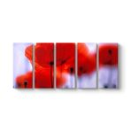 Kırmızı Gelincikler Tablosu 162 x 70-5 Parçalı