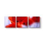 Kırmızı Gelincikler Tablosu 96 x 30-3 Parçalı