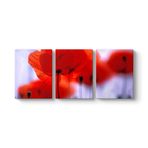 Kırmızı Gelincikler Tablosu 96 x 40-3 Parçalı