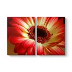 Kırmızı Gerbera Çiçeği Tablosu 103 x 70-2 Parçalı